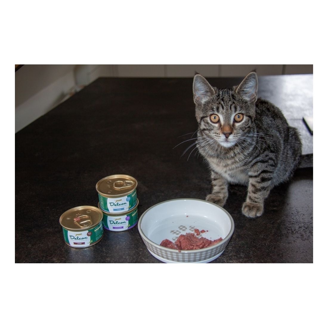 Šlapias kačių maistas su ėriena, monoproteininis, 85 gr 2