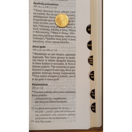 BIBLIJA DIDELĖMIS RAIDĖMIS 18 X 24,5 CM, EKUMENINĖ, LANKSČIAIS VIRŠELIAIS 2023 M. 1